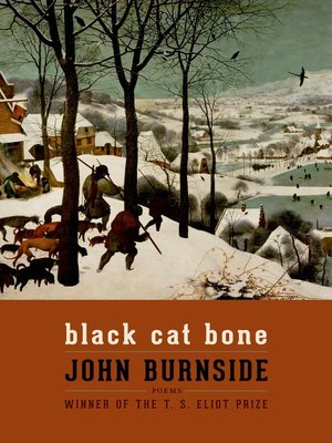 cover image of Black Cat Bone